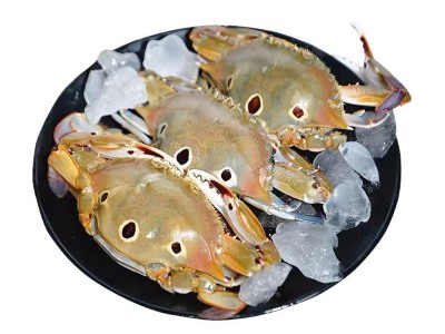 带膏三目母蟹批发 鲜活速冻三点蟹冷冻梭子蟹膏蟹蟹肉煲新鲜海鲜图5