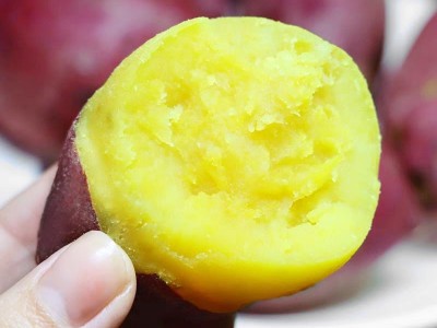 黄心鸡蛋薯新鲜沙地红薯5斤非临安天目山小香薯品种红蜜薯山芋图2