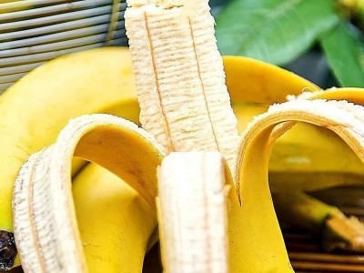 广西云南威廉斯香蕉需催熟绿香蕉包邮新鲜威廉斯芝麻蕉一件代发图2