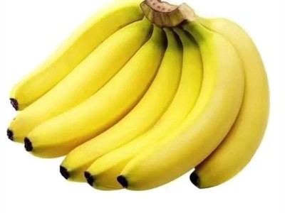 广西云南威廉斯香蕉需催熟绿香蕉包邮新鲜威廉斯芝麻蕉一件代发图5