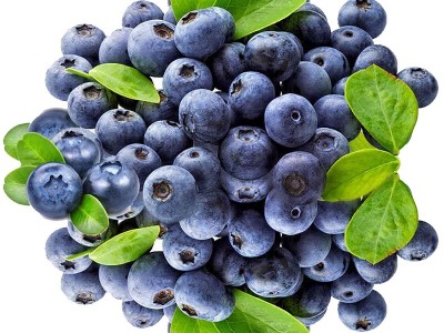 云南怡颗莓红土蓝莓L25脆甜玫瑰花香蓝莓爱莓庄迷迭蓝皇冠大蓝莓图2