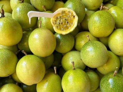 黄金百香果钦蜜9号新鲜水果代发热带水果百香果源头工厂现货批发图3