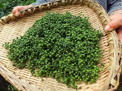 餐馆商用新鲜青花椒四川特麻特辣青花椒粒藤椒麻椒重庆江津九叶青图2