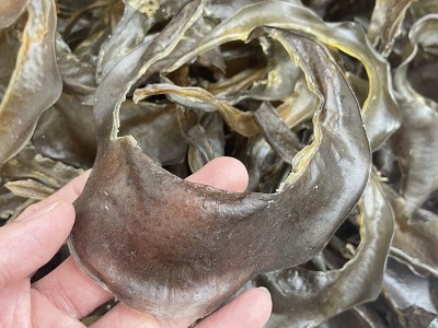 海味干货 清水甲鱼裙边 水鱼裙边 甲鱼边龟板胶干货批发500g图4