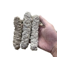 黄玉参海参水产干货8-120头王玉参海参批发 淡干刺王海参500克