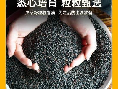 邓州娃娃鱼醇香压榨纯菜籽油5L桶装 家用炒菜大桶装批发图4