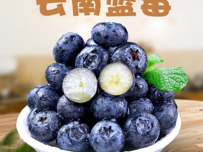 云南花香蓝莓 代发L25顺丰果园直发鲜果花香特大果脆甜新鲜水果图5