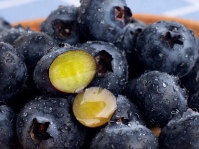 云南花香蓝莓 代发L25顺丰果园直发鲜果花香特大果脆甜新鲜水果图4