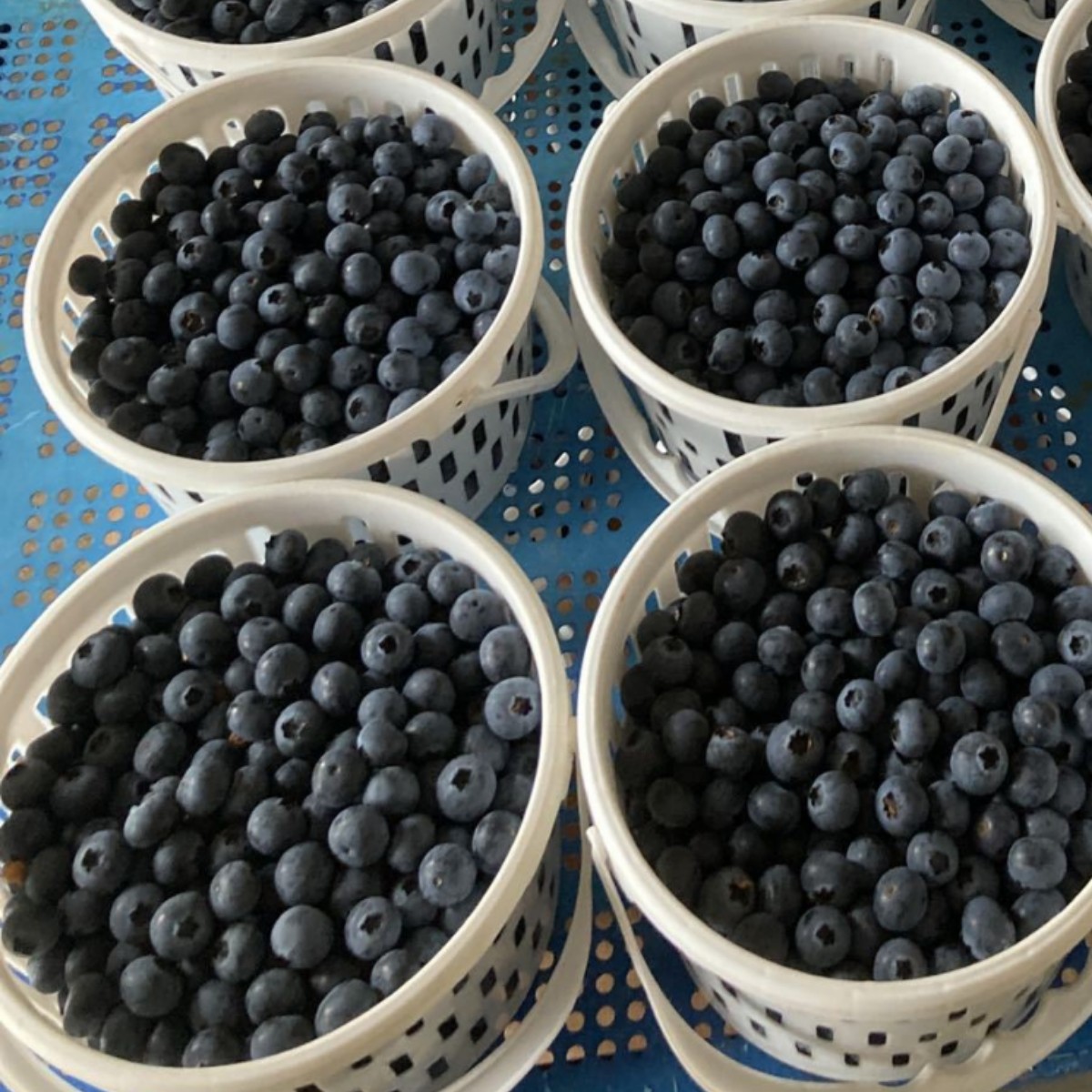 O1CN01L1poe81mlJ3jJSZ1r_!!2201228224994-0-cib