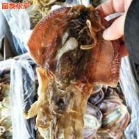 厂家批发血墨鱼小鱼干火锅食材餐饮生鲜水产干货海鲜血墨鱼干货