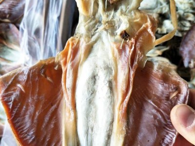 厂家批发血墨鱼小鱼干火锅食材餐饮生鲜水产干货海鲜血墨鱼干货图3