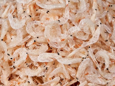 淡干虾皮 厂家批发海鲜虾皮制品干货即食煲汤补钙小虾米水产干货图3