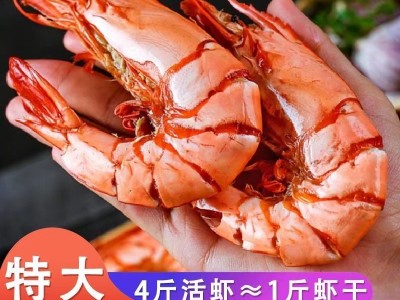 九节虾开袋即食 孕妇零食海鲜干货 山东特产烤虾干大号竹节虾海虾图5