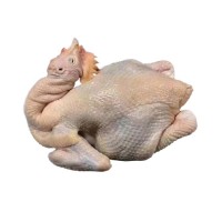 广西玉林三黄鸡商用土鸡整箱鸡肉白条鸡冷冻整鸡批发