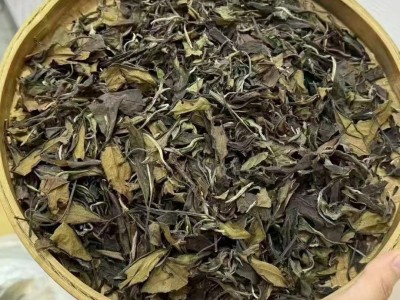 高山白茶老贡眉正宗高山老白茶2016年枣香散茶500g手提一斤图2