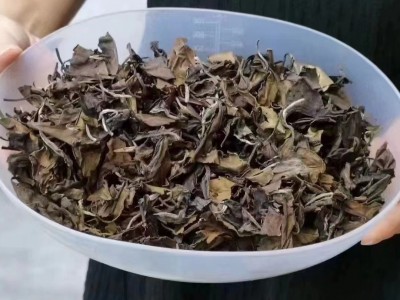 高山白茶老贡眉正宗高山老白茶2016年枣香散茶500g手提一斤图3