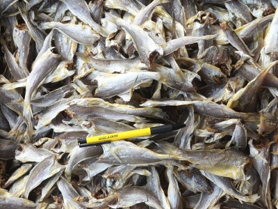 批发零售黄花鱼干 微盐小黄鱼干 海鲜干货黄花鱼干图3