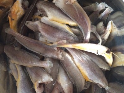 批发零售黄花鱼干 微盐小黄鱼干 海鲜干货黄花鱼干图2