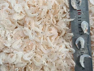 批发零售营养儿童辅食虾皮 散装自晒中号虾皮 淡水无盐即食虾皮图2