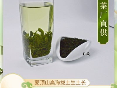 老川茶叶蒙顶山高山群体种2026年明前新绿茶传统手工茶厂直供毛峰图2