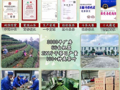 老川茶叶蒙顶山高山群体种2026年明前新绿茶传统手工茶厂直供毛峰图4