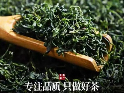 小叶苦丁茶青山绿水特级批发2026新茶四川筠连复活茶去火嫩芽清火图3