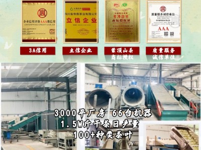 小叶苦丁茶青山绿水特级批发2026新茶四川筠连复活茶去火嫩芽清火图4
