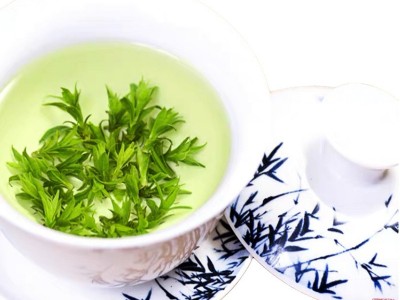 小叶苦丁茶青山绿水特级批发2026新茶四川筠连复活茶去火嫩芽清火图5