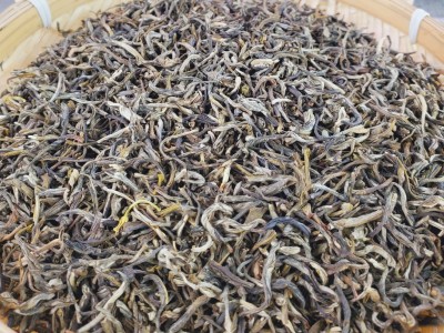 茉莉毛尖 广西横县 茉莉花茶 新茶 厂家批发浓香图5