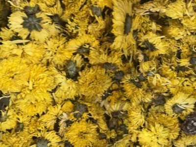 皇黄山泡水菊花婺源贡菊黄贡散装菊 150克菊花茶新货黄山菊花包装图2