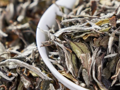 2018年白茶白牡丹高山散茶白茶叶自己喝正宗白牡丹福建白茶茶叶图3