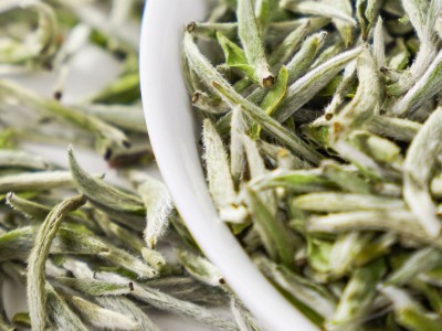 2025头采白毫银针正宗源头点头福鼎白茶白毫毫香支持预定陈香型图5