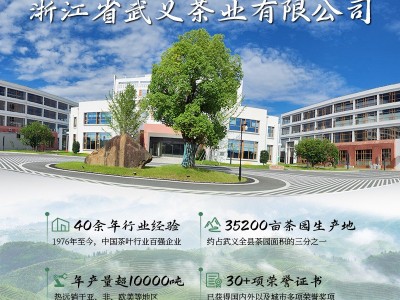 2025款新茶定制谷雨高山云雾绿茶炒青春茶一级散装自产浓香型100g图4