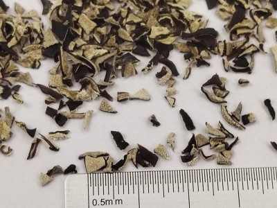 家用新货木耳黑木耳商用肉厚干货干木耳秋木耳小碗耳段木耳段图2