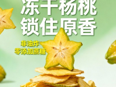 冻干杨桃水果干果蔬干水果FD脱水冻干水果脆杨桃脆冻干零食定制图4