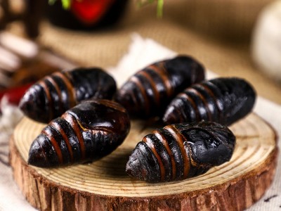 新鲜东北蝉蛹蚕蛹新鲜长年大量供应柞蚕蛹鲜蚕蛹茧蛹3-4厘米图3