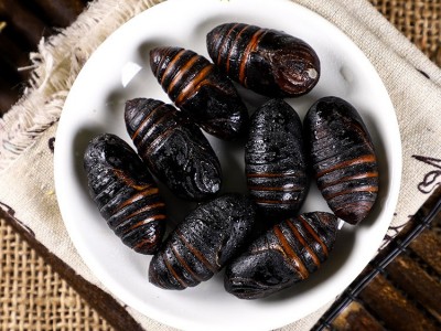 新鲜东北蝉蛹蚕蛹新鲜长年大量供应柞蚕蛹鲜蚕蛹茧蛹3-4厘米图2