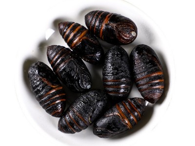 新鲜东北蝉蛹蚕蛹新鲜长年大量供应柞蚕蛹鲜蚕蛹茧蛹3-4厘米图5