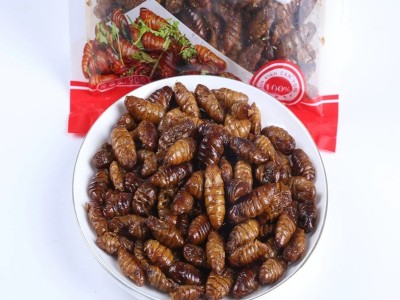 蚕蛹油炸蚕蛹香酥蚕蛹昆虫零食竹虫蟋蟀代发开袋即食蚕蛹零食图4