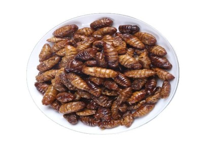 蚕蛹油炸蚕蛹香酥蚕蛹昆虫零食竹虫蟋蟀代发开袋即食蚕蛹零食图1