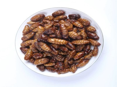 蚕蛹油炸蚕蛹香酥蚕蛹昆虫零食竹虫蟋蟀代发开袋即食蚕蛹零食图3