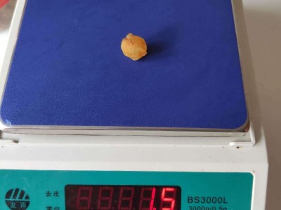 新货无核大颗灯笼桂圆肉桂圆干龙眼肉 厂家直销 散装批发代理果粒图3