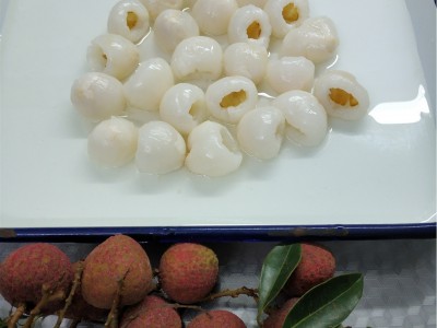 糖水荔枝新鲜水果罐头567g*6罐/箱厂直销批发出口内销帖牌招商图5