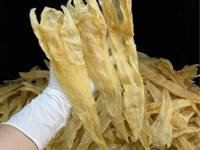 阴阳条鱼胶 花胶阴阳胶 北海母胶 合鳘鱼胶 干净无油 天然阴阳条图3