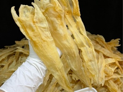 阴阳条鱼胶 花胶阴阳胶 北海母胶 合鳘鱼胶 干净无油 天然阴阳条图4