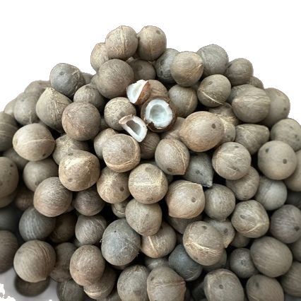 O1CN01lRkRCU1Bs32vTzcIk_!!0-0-cib