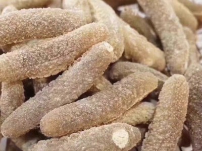 批发渠道深海海参澳洲沙秃参 沙秃参黄金沙秃参淡干海参野生图5