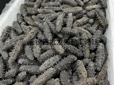 批发大连淡干海参大连刺参辽刺参大连辽参海参干货泡发10倍优质图3