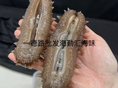 批发大连淡干海参大连刺参辽刺参大连辽参海参干货泡发10倍优质图4