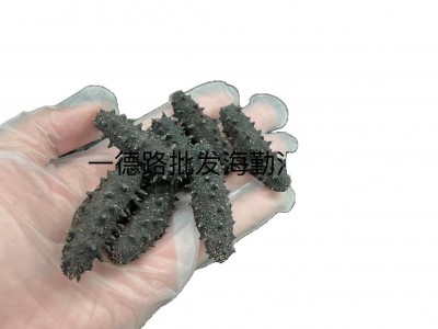 批发大连淡干海参大连刺参辽刺参大连辽参海参干货泡发10倍优质图5